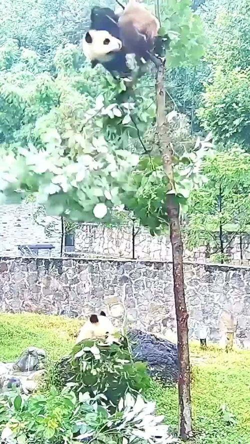 树下有个好地方免费观看,免费畅享自然之美