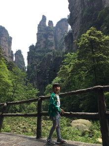 老公带婆婆去张家界,老公带婆婆畅游张家界