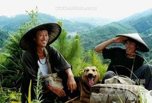 那人那山那狗 日本,探寻日本乡村的温馨故事